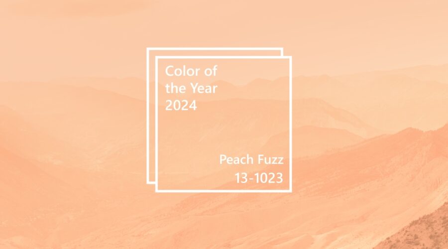 Pair the Contemporary Elegance Collection w/ Pantone’s 2024 Color of the year: “Peach Fuzz”